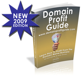 Domain Profit Guide